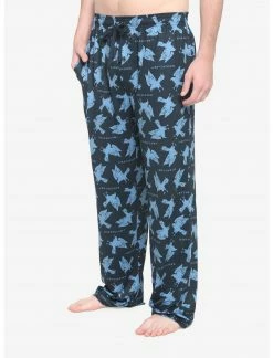 BIOWORLD Harry Potter Ravenclaw House Pajama Pants